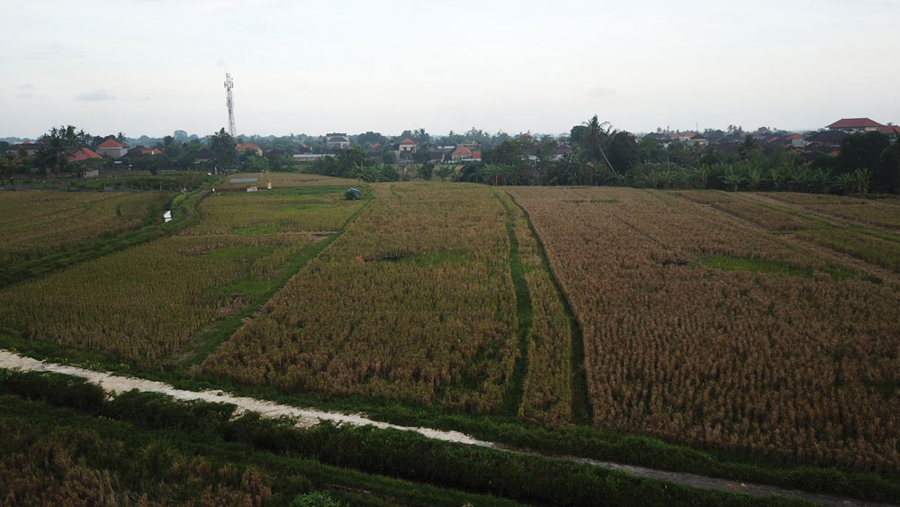 DJI 0016